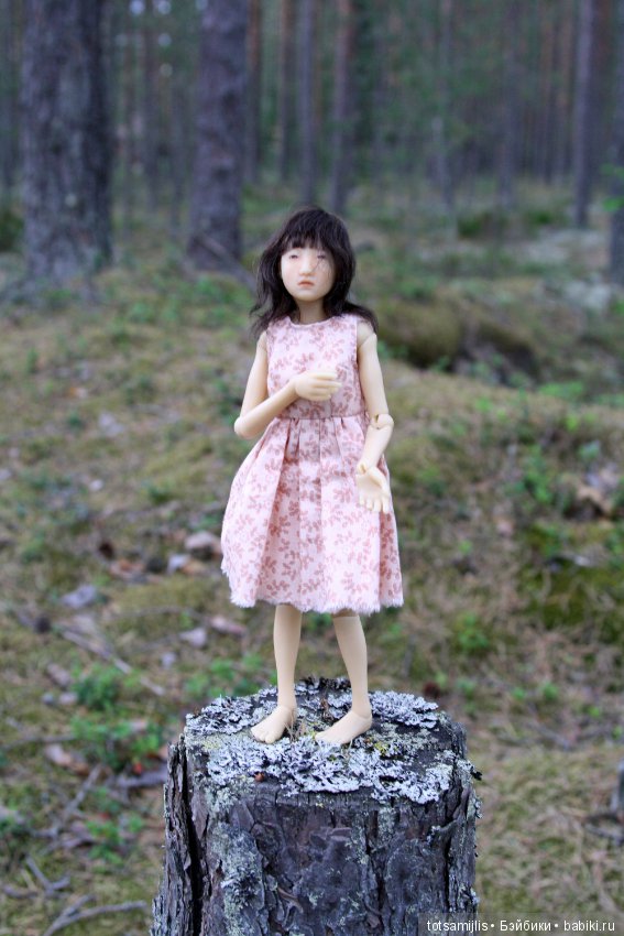 Дача... или Лиен (Наби от Юлии Решетниковой) три дня в дожде (фото 3)