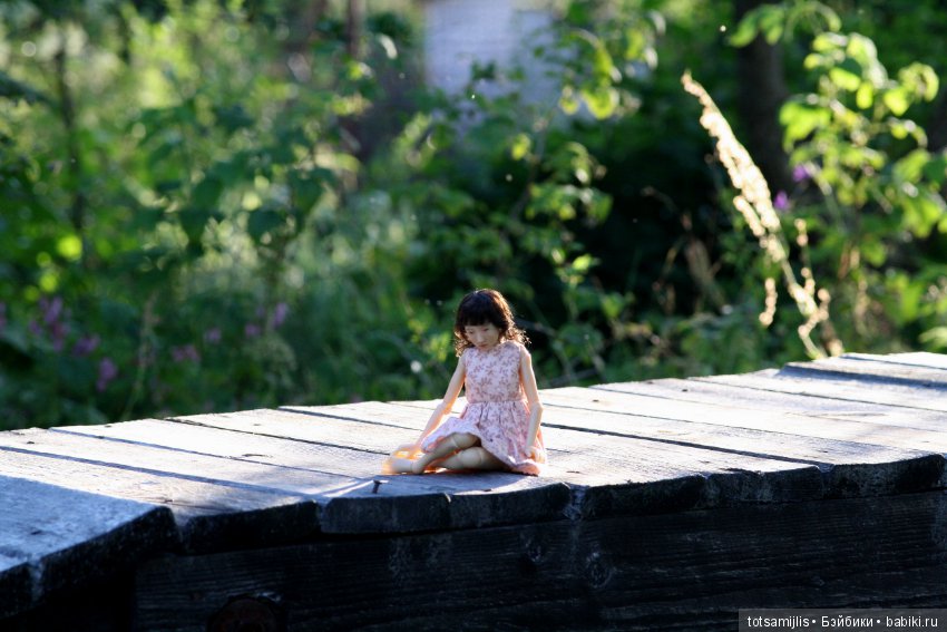 Дача... или Лиен (Наби от Юлии Решетниковой) три дня в дожде (фото 10)