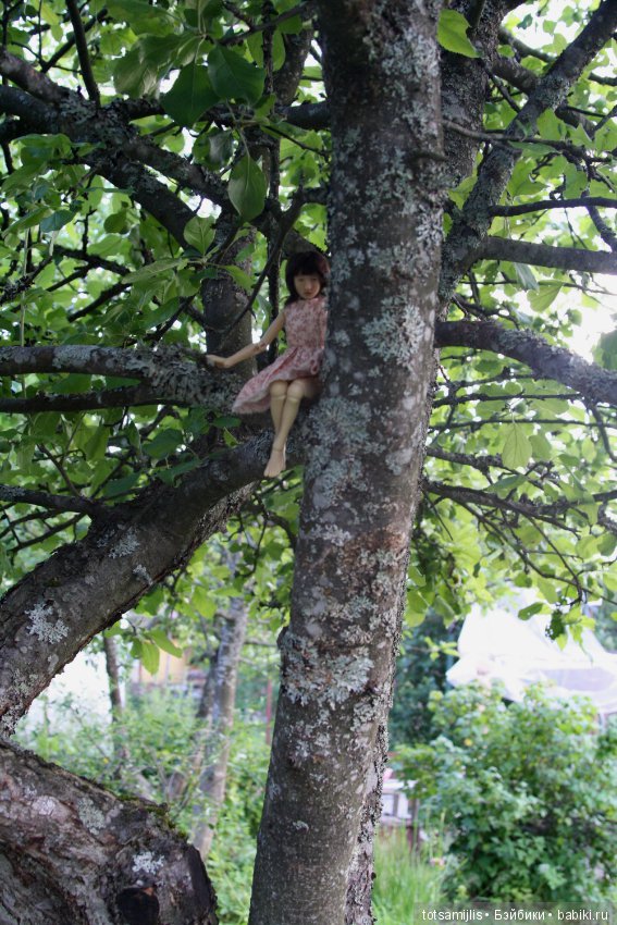 Дача... или Лиен (Наби от Юлии Решетниковой) три дня в дожде