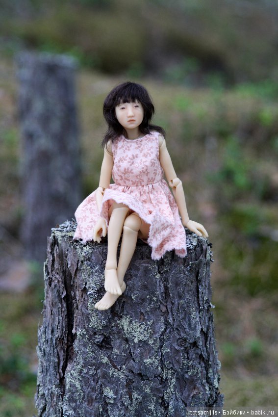 Дача... или Лиен (Наби от Юлии Решетниковой) три дня в дожде (фото 2)