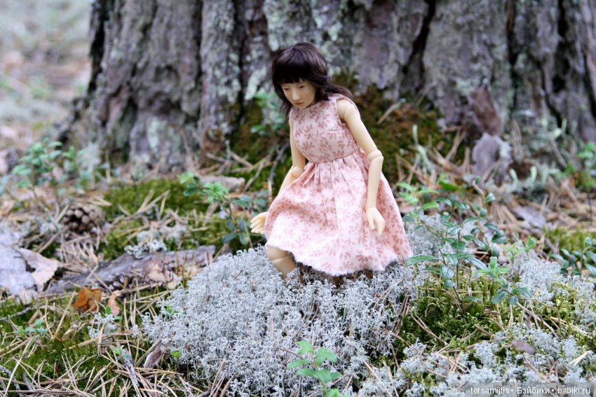 Дача... или Лиен (Наби от Юлии Решетниковой) три дня в дожде