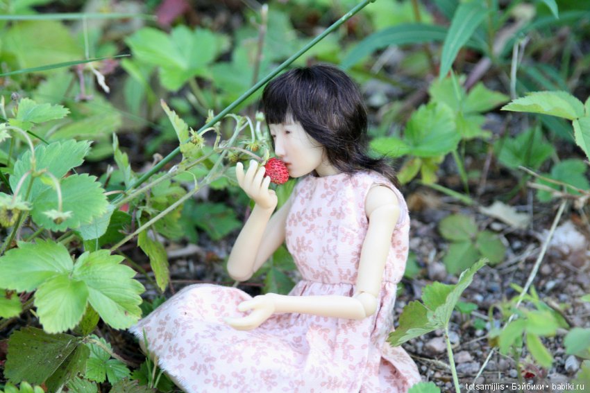 Дача... или Лиен (Наби от Юлии Решетниковой) три дня в дожде