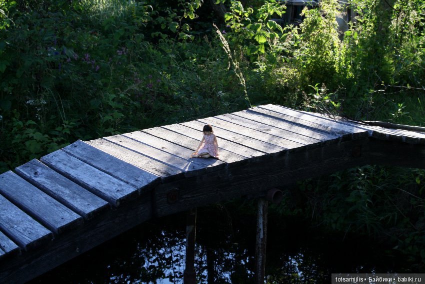 Дача... или Лиен (Наби от Юлии Решетниковой) три дня в дожде (фото 9)