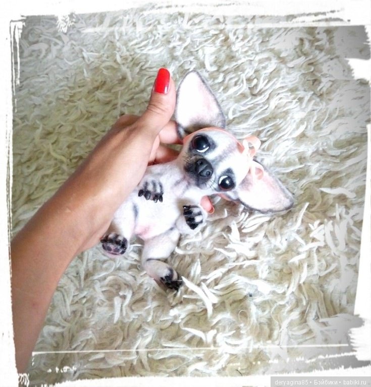 Чихуахуа — Валяные игрушки из шерсти: сухое валяние