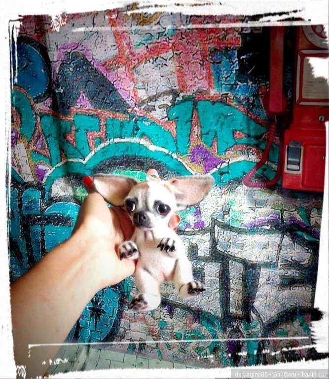 Чихуахуа — Валяные игрушки из шерсти: сухое валяние