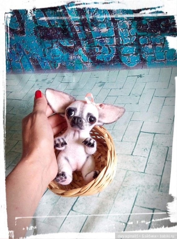 Чихуахуа — Валяные игрушки из шерсти: сухое валяние (фото 10)