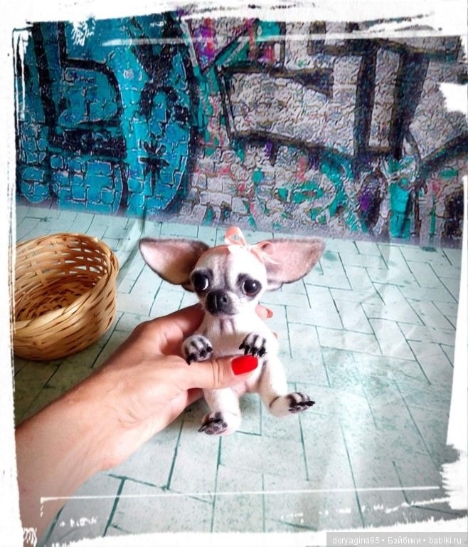 Чихуахуа — Валяные игрушки из шерсти: сухое валяние