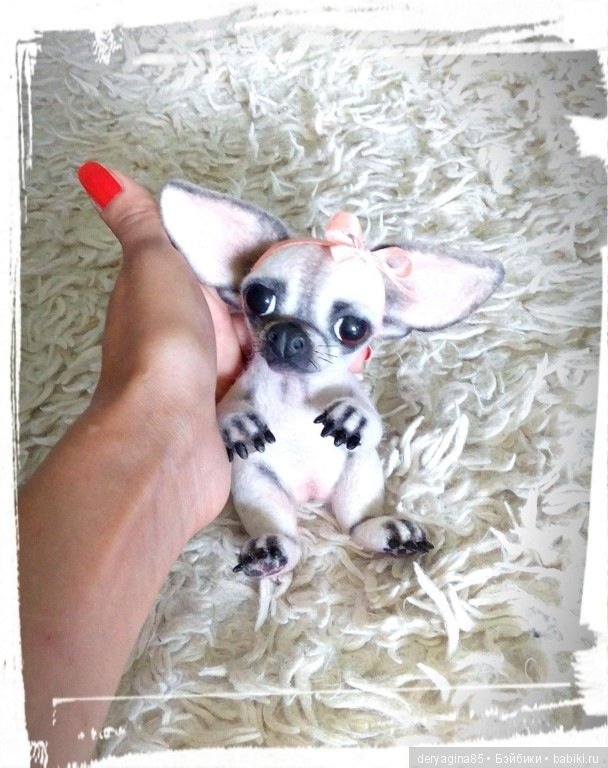 Чихуахуа — Валяные игрушки из шерсти: сухое валяние (фото 2)