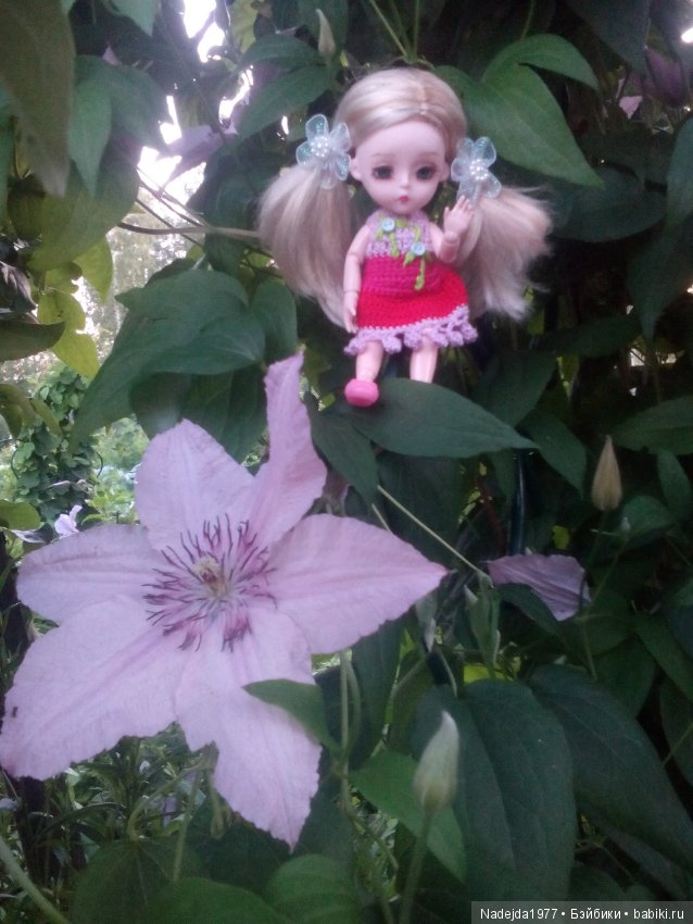 Топик 125.Или новый Алесин образ