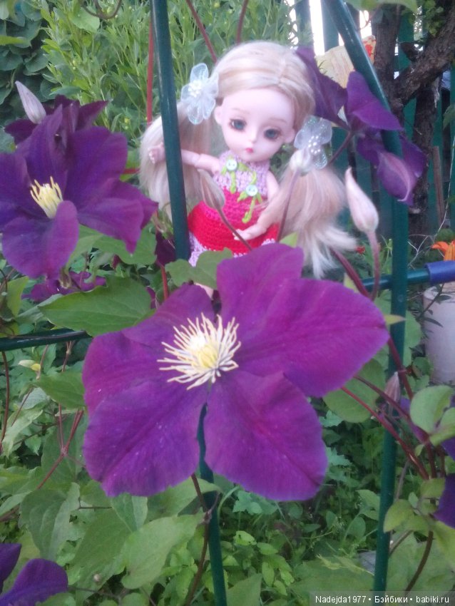 Топик 125.Или новый Алесин образ