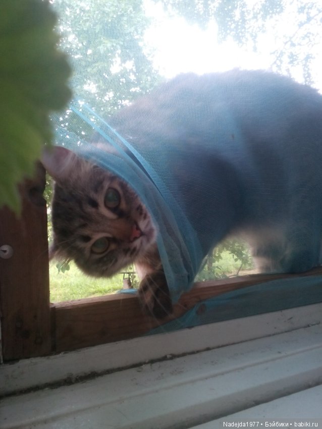 Топик 125.Или новый Алесин образ