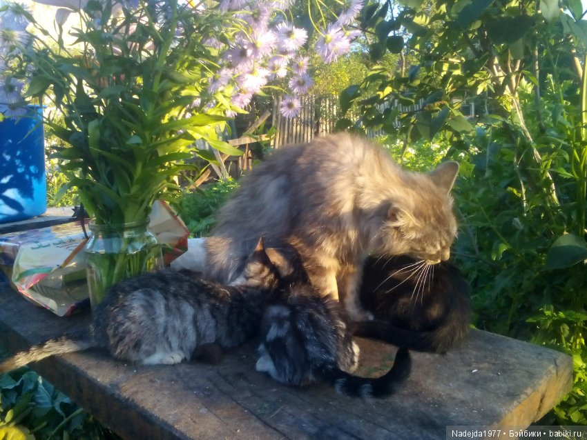 Топик 125.Или новый Алесин образ