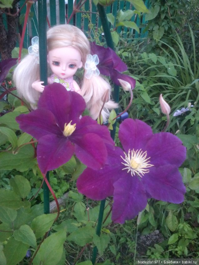 Топик 125.Или новый Алесин образ