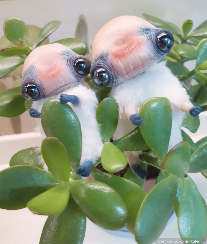 Счастье привалило! Юша и Аниюша от Бернкастель (фото 3)