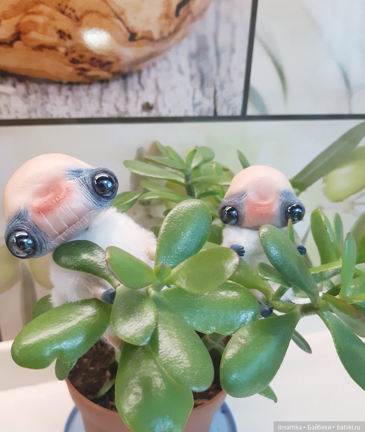 Счастье привалило! Юша и Аниюша от Бернкастель (фото 2)