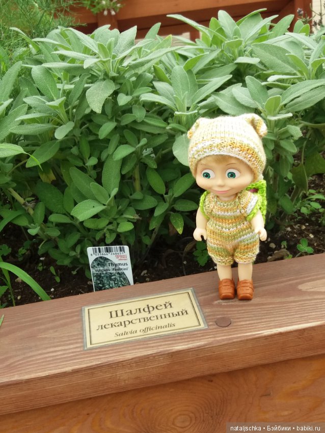 Огород хожу