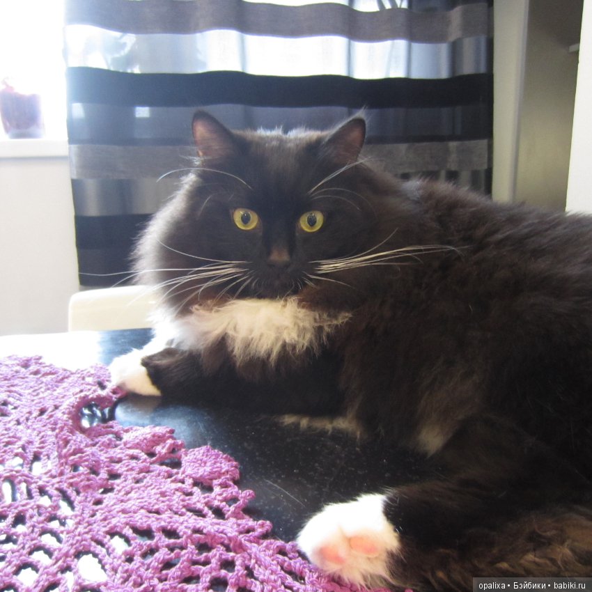 Мое творчество Часть 3 — Наши хобби и творчество: вышивка