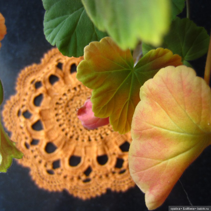 Мое творчество Часть 3 — Наши хобби и творчество: вышивка