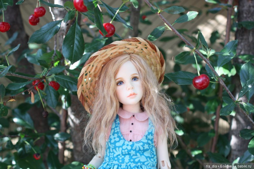 Ах этот сад - цветы, цветы, цветы. Прогулки Робины в саду