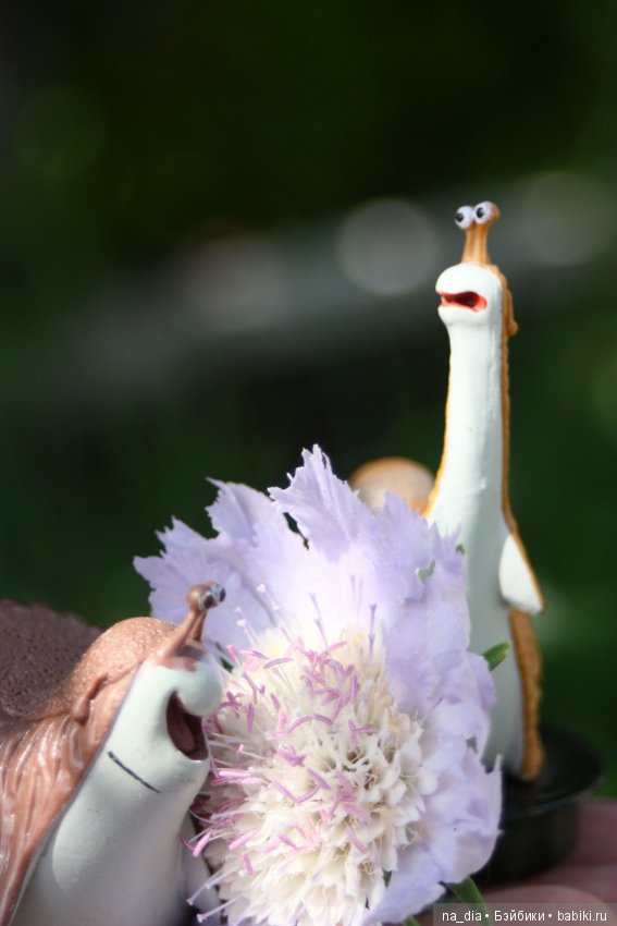 Ах этот сад - цветы, цветы, цветы. Прогулки Робины в саду