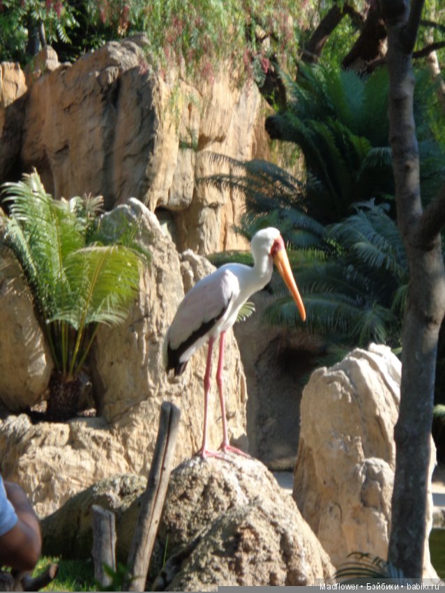 Valencia, Spain — Туризм и путешествия: фотоотчеты из поездок (фото 2)