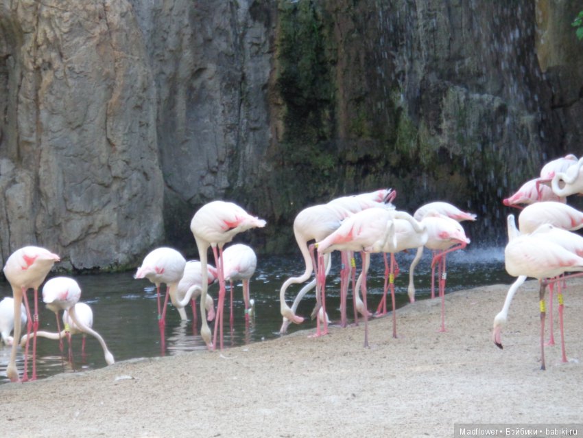 Valencia, Spain — Туризм и путешествия: фотоотчеты из поездок (фото 3)