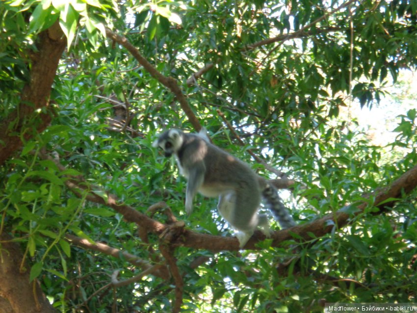 Valencia, Spain — Туризм и путешествия: фотоотчеты из поездок (фото 4)