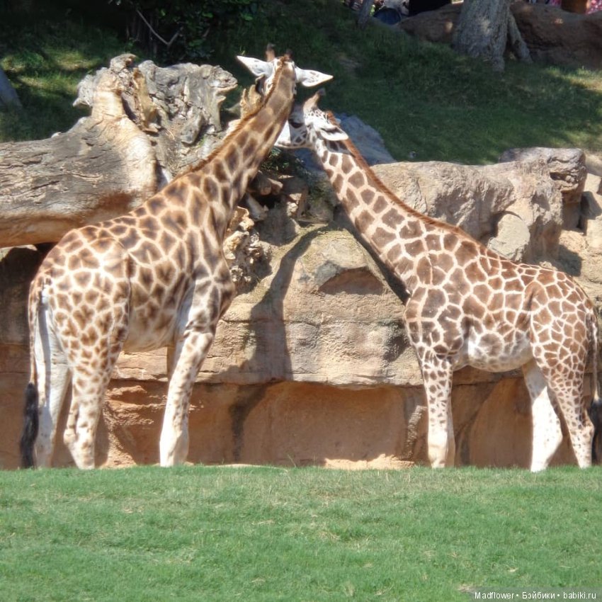 Valencia, Spain — Туризм и путешествия: фотоотчеты из поездок
