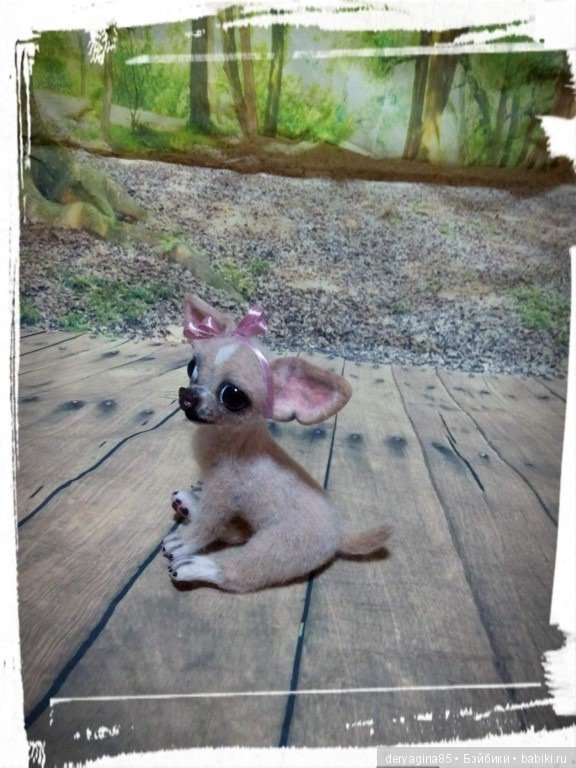 Чихуахуа — Валяные игрушки из шерсти: сухое валяние