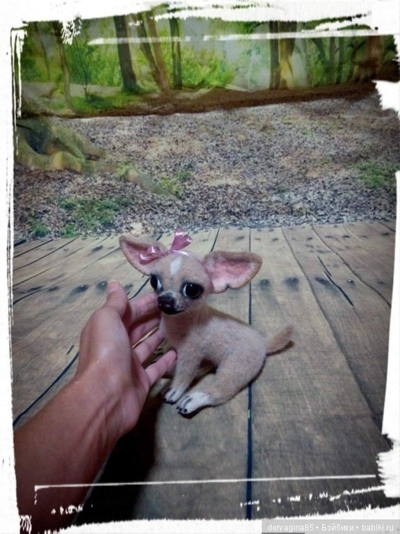 Чихуахуа — Валяные игрушки из шерсти: сухое валяние (фото 10)