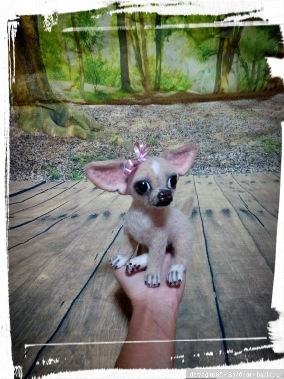 Чихуахуа — Валяные игрушки из шерсти: сухое валяние (фото 6)