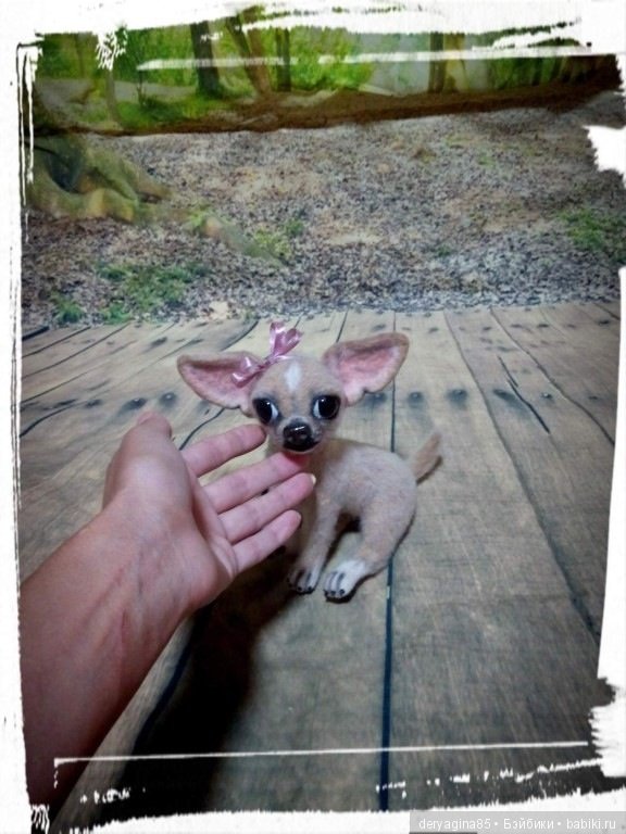 Чихуахуа — Валяные игрушки из шерсти: сухое валяние (фото 9)