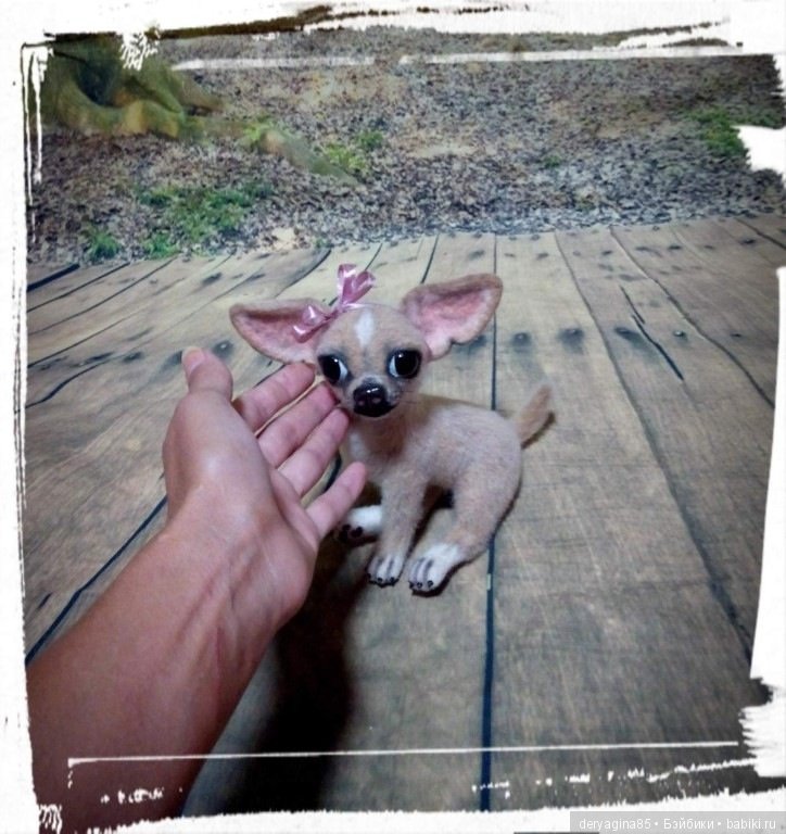 Чихуахуа — Валяные игрушки из шерсти: сухое валяние (фото 8)