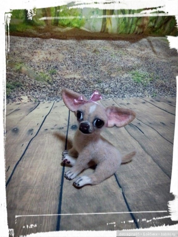 Чихуахуа — Валяные игрушки из шерсти: сухое валяние