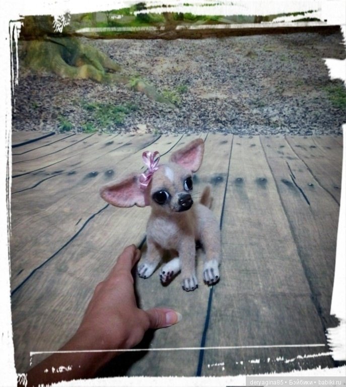 Чихуахуа — Валяные игрушки из шерсти: сухое валяние