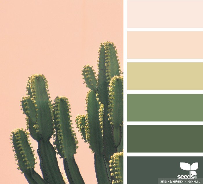 Сочетание цвета. Природа и цветы