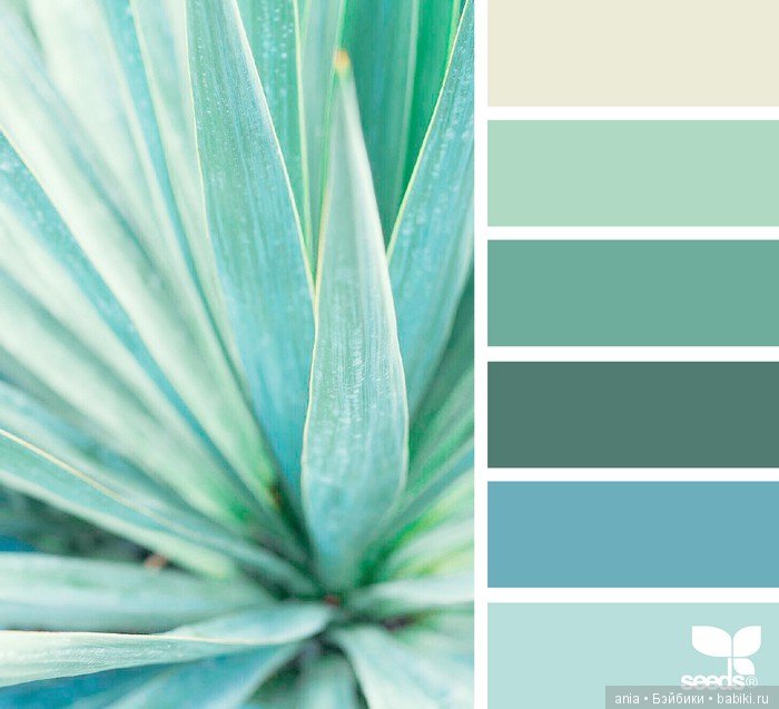 Сочетание цвета. Природа и цветы