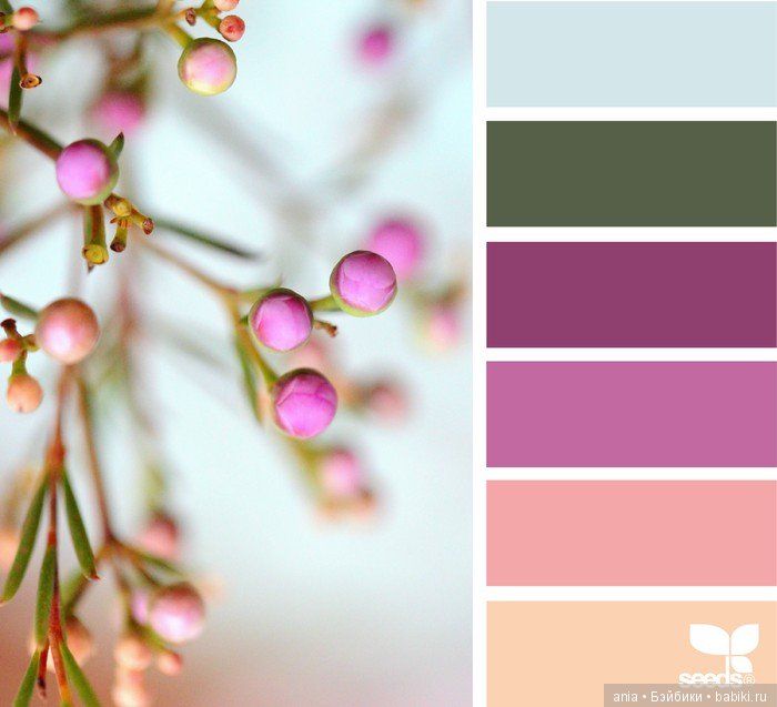 Сочетание цвета. Природа и цветы