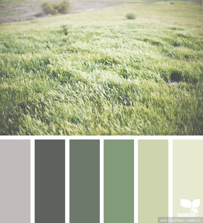 Сочетание цвета. Природа и цветы