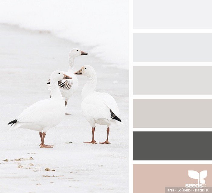 Сочетание цвета. Природа и цветы