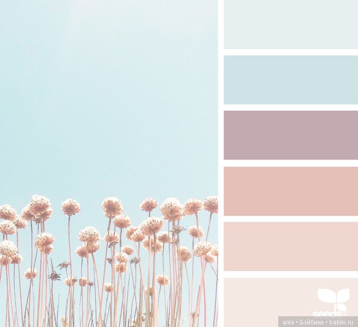 Сочетание цвета. Природа и цветы