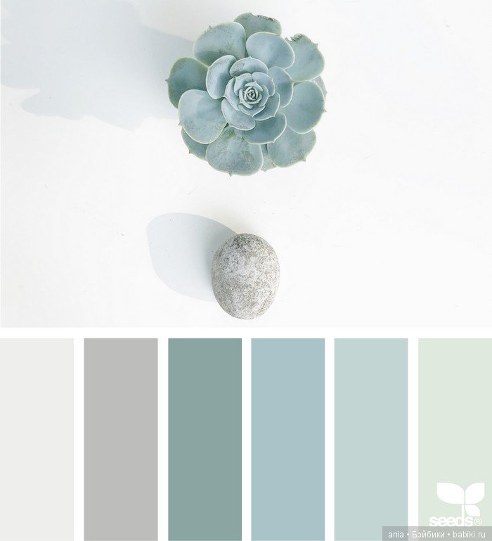 Сочетание цвета. Природа и цветы