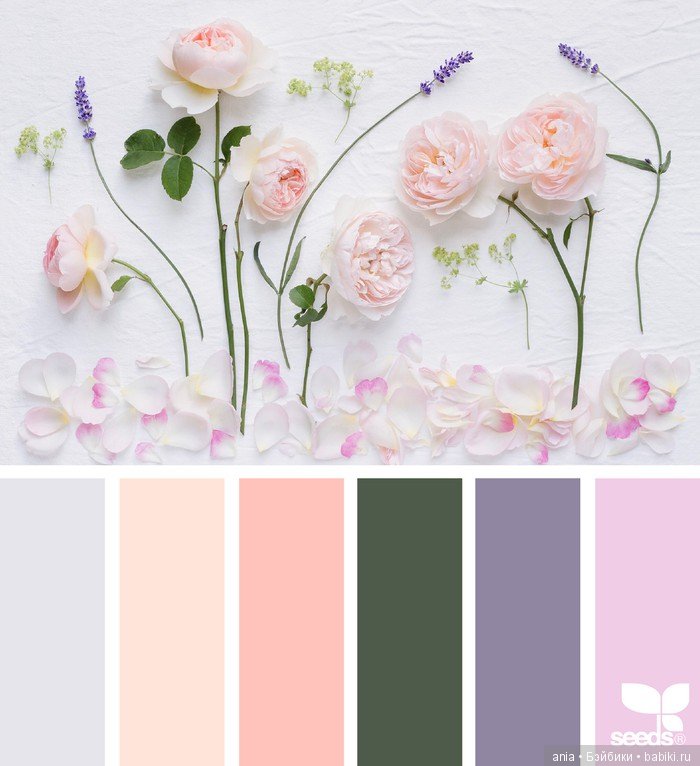 Сочетание цвета. Природа и цветы (фото 10)