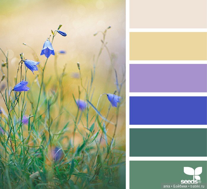 Сочетание цвета. Природа и цветы