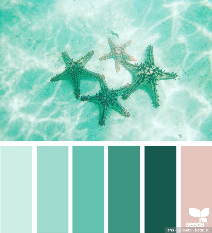 Сочетание цвета. Природа и цветы