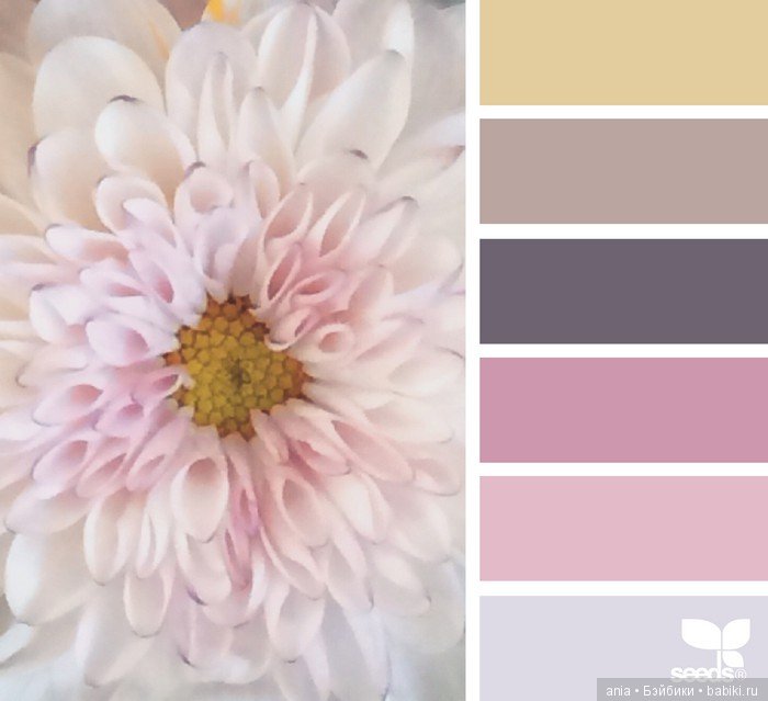 Сочетание цвета. Природа и цветы (фото 3)