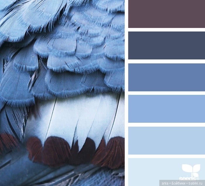 Сочетание цвета. Природа и цветы