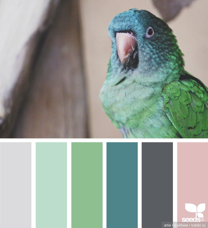 Сочетание цвета. Природа и цветы