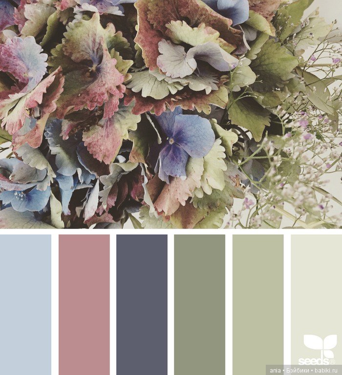 Сочетание цвета. Природа и цветы (фото 2)