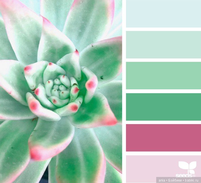 Сочетание цвета. Природа и цветы